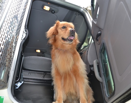 Our Dog in the Oil Delivery Truck